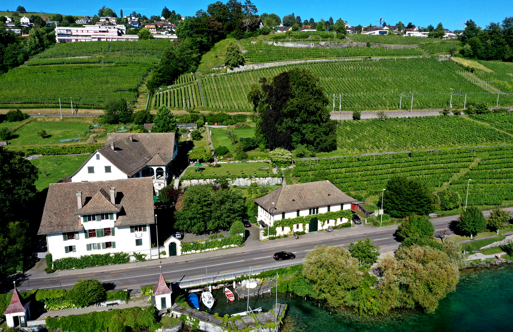 Weingut SCHIPF, Herrliberg