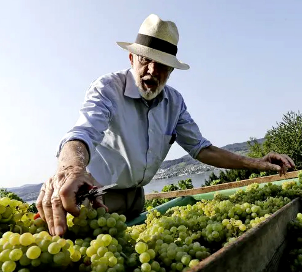 Kaspar Von Meyenburg