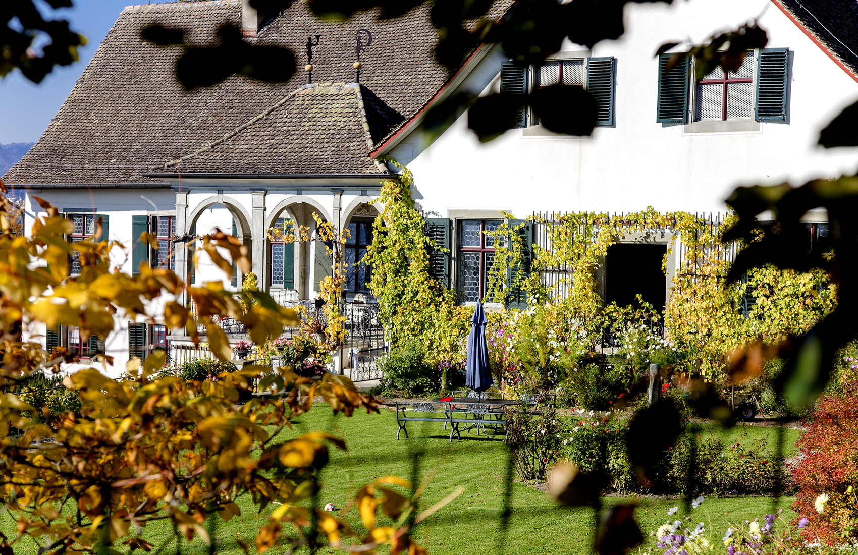 Weingut SCHIPF, Herrliberg