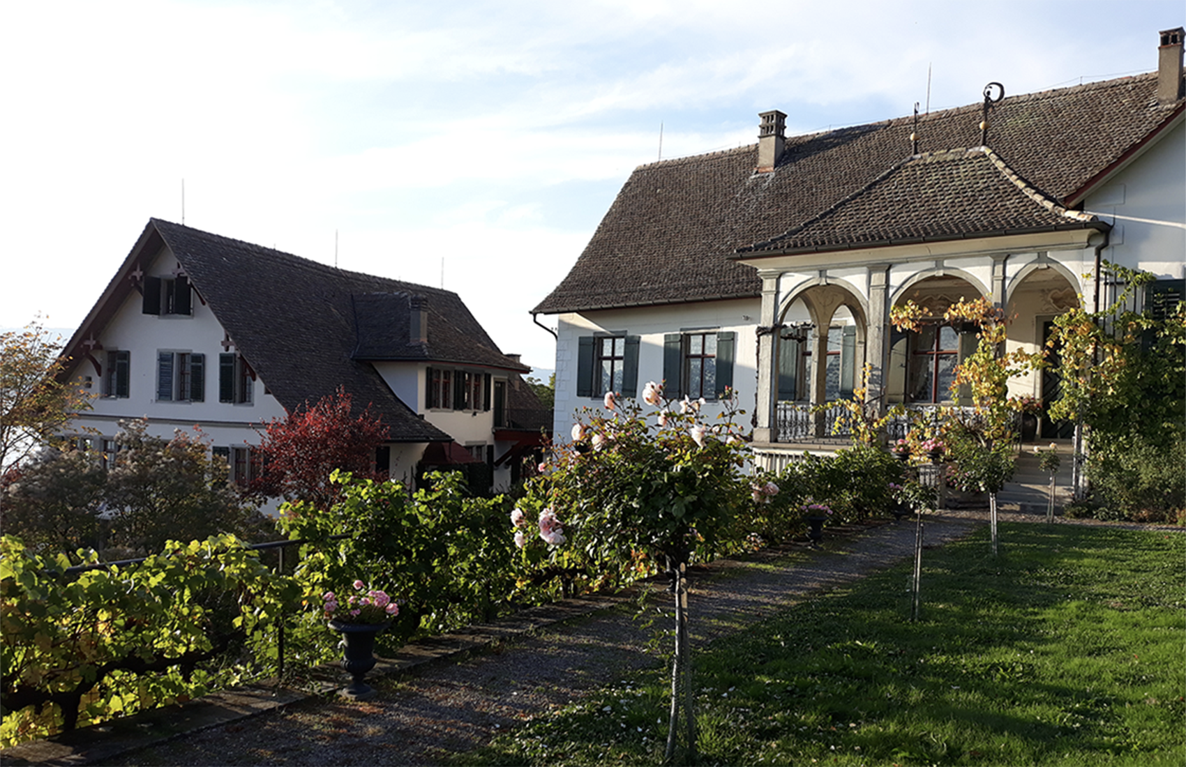 Weingut SCHIPF, Herrliberg