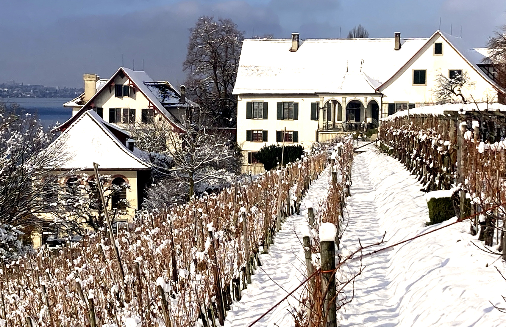 Winterweinproben 
2024 & 2025