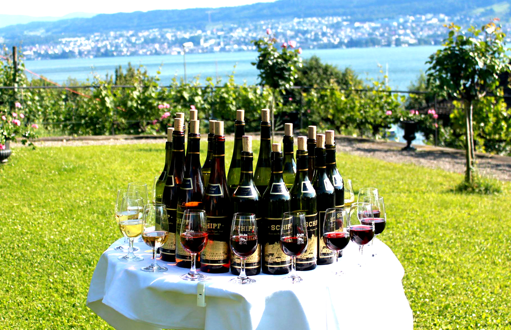 Tisch mit Weinen von SCHIPF, Weinprobe und private Degustation