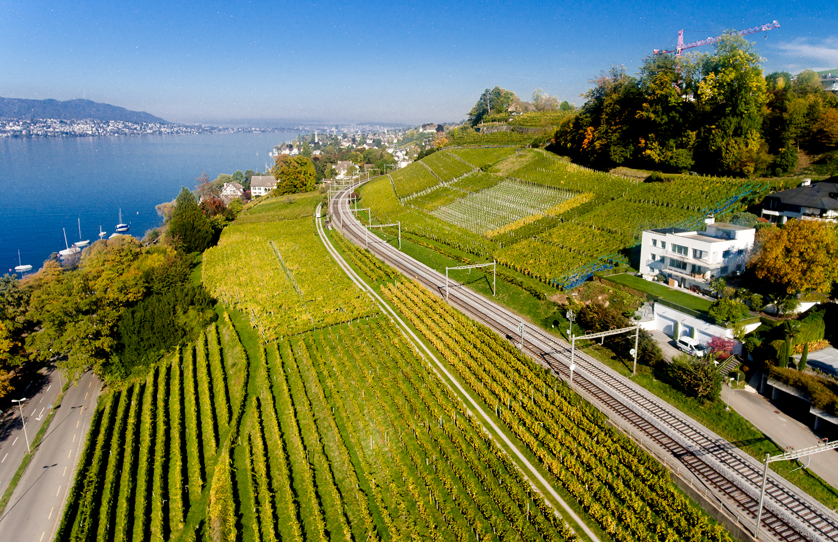 Weingut SCHIPF, Herrliberg